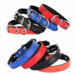 Crafting Quality Leather Dog Collars: Trusted Manufacturers You Can Rely On